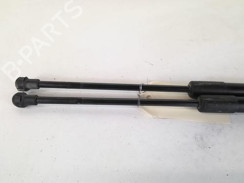 Tailgate lift support SEAT IBIZA IV (6J5, 6P1) 1.6 TDI | BP20968176C138 