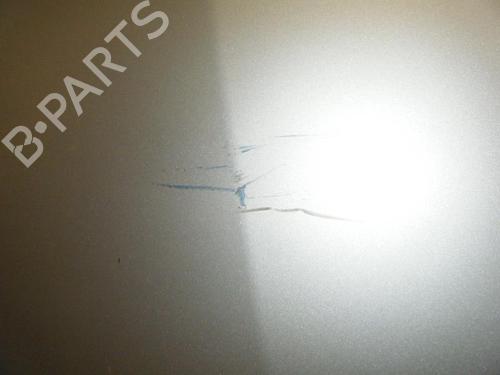Hood RENAULT MEGANE II (BM0/1_, CM0/1_) 1.9 dCi (BM0G, CM0G) | BP22019498C1 