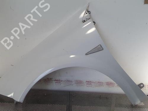 Used Left front fenders RENAULT MEGANE II (BM0/1_, CM0/1_) 1.5 dCi (BM1F, CM1F) (86 hp) 20957351