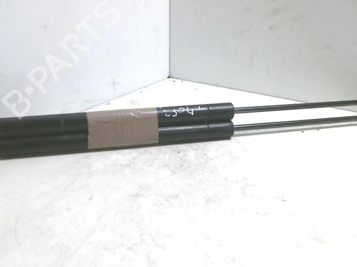 Used Tailgate lift support RENAULT MEGANE II Estate (KM0/1_) 1.5 dCi (KM02, KM13) (101 hp) 20970978