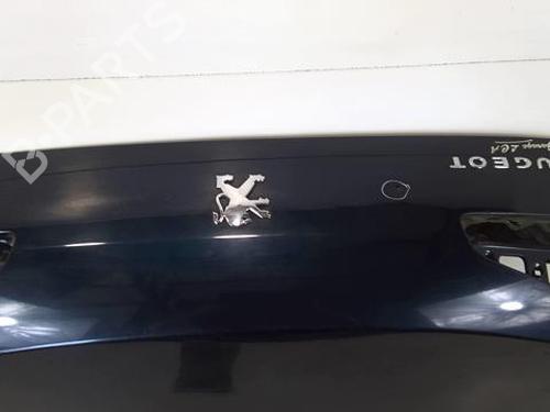 Tailgate PEUGEOT 607 (9D, 9U) 2.7 HDi 24V | BP22024204C6