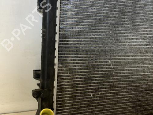 Used Water radiator Water radiator DACIA SANDERO 1.6 16V Bifuel (105 hp) 20938605 20938605