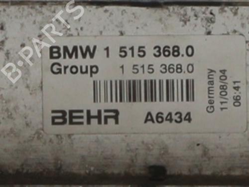 Used Intercooler Intercooler MINI MINI (R50, R53) Cooper S (170 hp) 40248231 40248231