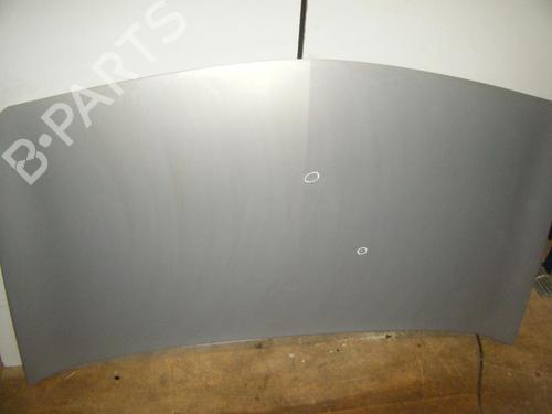 Hood RENAULT MEGANE II (BM0/1_, CM0/1_) 2.0 16V (BM0U, CM0U) | BP20960911C1 