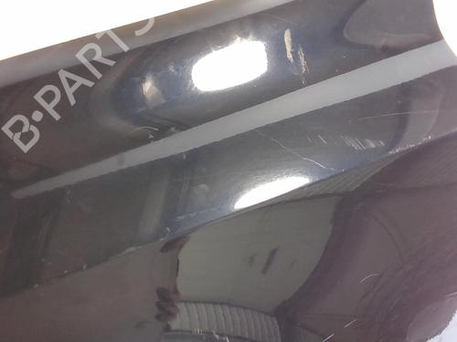 Used Left front fenders RENAULT LAGUNA II (BG0/1_) 1.9 dCi (BG1A, BG1W, BG0G) (110 hp) 20963752