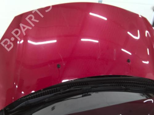 hood-citroen-c3-ii-sc_-10-vti-68-7901r1-2009-22696909 main image