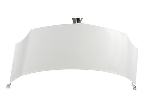 hood-renault-kangoo-express-fw01_-2008-30704883 main image