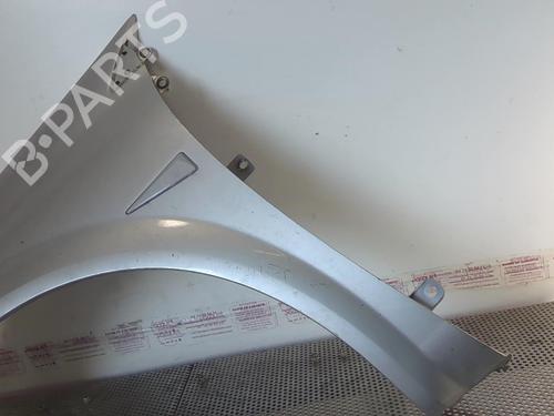Left front fenders RENAULT MEGANE II (BM0/1_, CM0/1_) 1.5 dCi (BM1E, CM1E) | BP22021717C41