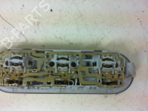 Interior roof light RENAULT MEGANE II (BM0/1_, CM0/1_) 1.9 dCi (BM0G, CM0G) | BP20958556I8 