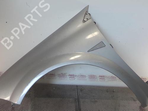 Left front fenders RENAULT MEGANE II (BM0/1_, CM0/1_) 1.5 dCi (BM1E, CM1E) | BP22021717C41