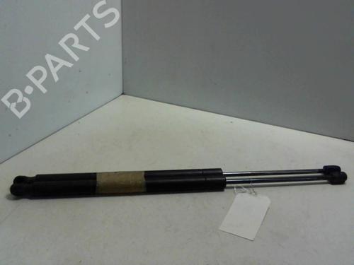 Used Tailgate lift support RENAULT GRAND SCÉNIC II (JM0/1_) 1.9 dCi (JM0G, JM12, JM1G, JM2C) (120 hp) 20946962