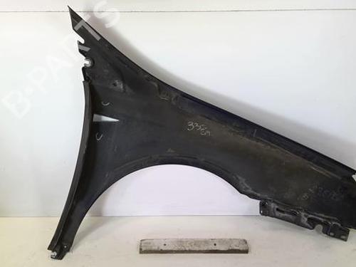 Left front fenders RENAULT VEL SATIS (BJ0_) 3.0 dCi (BJ0S) | BP20965116C41