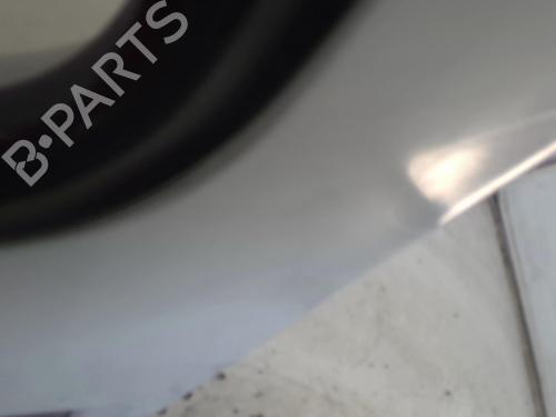 Left tailgate RENAULT EXPRESS Box Body/MPV 1.9 D | BP22022322C76