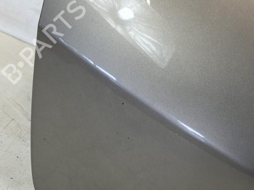 Tailgate RENAULT CLIO III (BR0/1, CR0/1) 1.5 dCi | BP22028521C6 
