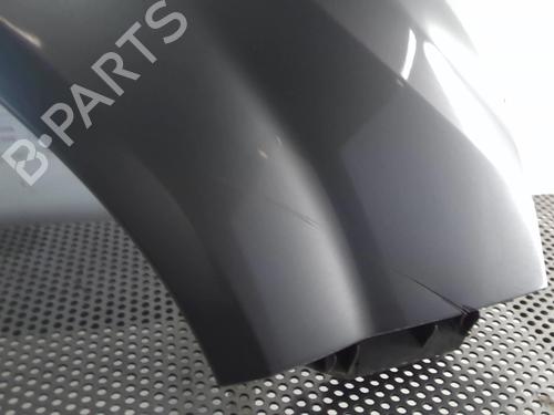 Right front fenders RENAULT GRAND SCÉNIC II (JM0/1_) 1.9 dCi (JM14) | BP22022697C42