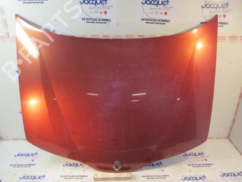 Used Hood RENAULT LAGUNA II (BG0/1_) 1.9 dCi (BG08, BG0G) (120 hp) 20953969