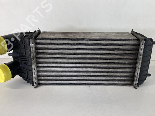 Intercooler CITROËN C3 III Van (SX_, SY_) BlueHDi 100 (102 hp) 26179707