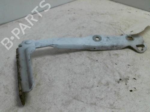 Used Hinge/Door check strap DACIA SANDERO 1.2 16V (75 hp) 20969735