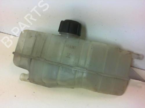 Expansion tank RENAULT CLIO III (BR0/1, CR0/1) 1.5 dCi (BR17, CR17) | BP20966632C120 
