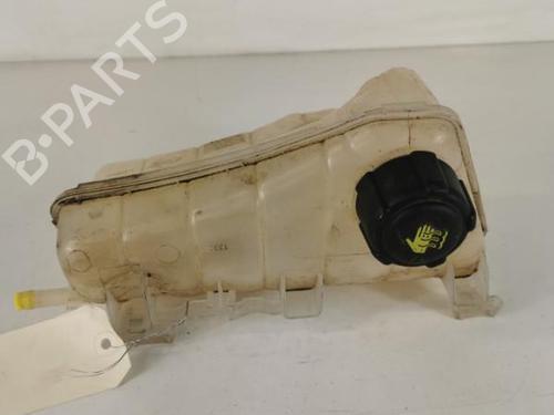 Used Expansion tank RENAULT KANGOO Express (FW0/1_) 1.5 dCi 75 (FW07, FW10, FW04) (75 hp) 20955691