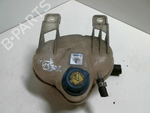 Used Expansion tank FIAT GRANDE PUNTO (199_) 1.3 D Multijet (75 hp) 20940411