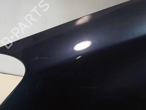 Left front fenders KIA CEE'D Hatchback (ED) 1.6 CRDi 90 | BP22024593C41 