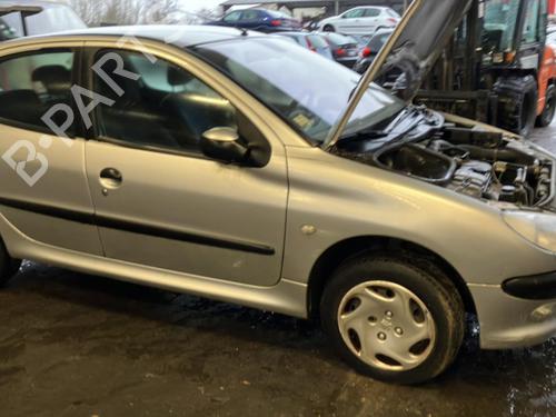 Grill PEUGEOT 206 Hatchback (2A/C) 1.4 i | BP30704961C40
