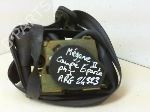 Used Rear left belt tensioner RENAULT MEGANE II Saloon (LM0/1_) 1.9 dCi (LM0G, LM1G, LM2C) (120 hp) 20946362