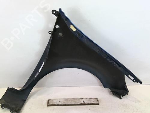 Left front fenders RENAULT CLIO III (BR0/1, CR0/1) 1.4 16V | BP20944164C41 