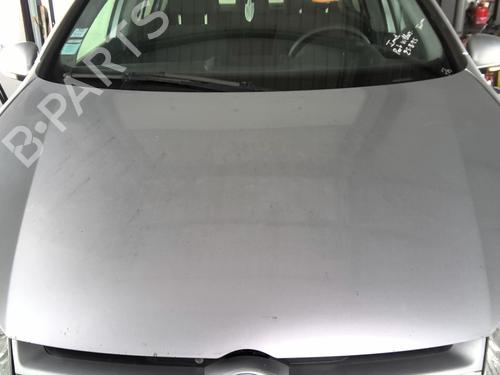 Used Hood VW GOLF V (1K1) 1.9 TDI (105 hp) 29490009