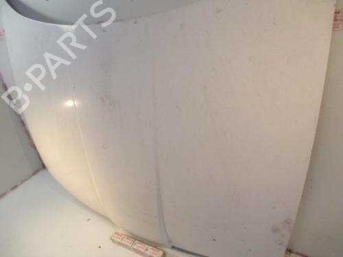 Used Hood SEAT TOLEDO II (1M2) 1.9 TDI (90 hp) 20942044
