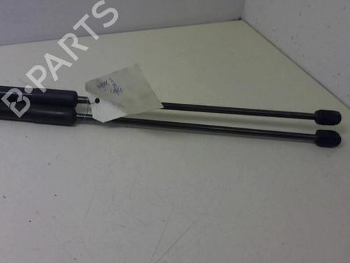 Tailgate lift support RENAULT MEGANE III Coupe (DZ0/1_) 1.5 dCi (DZ0C, DZ1A) | BP20954874C138 