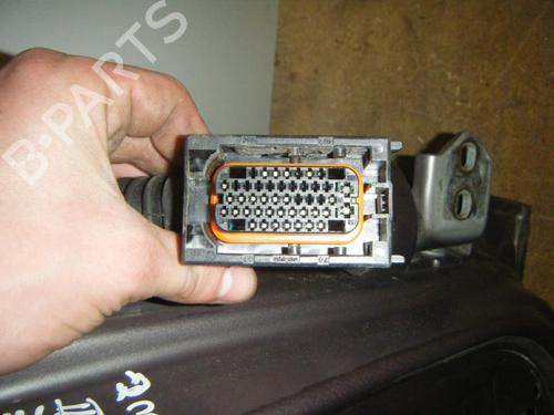 Left front door RENAULT MEGANE II (BM0/1_, CM0/1_) 1.9 dCi (BM0G, CM0G) | BP22019495C2 