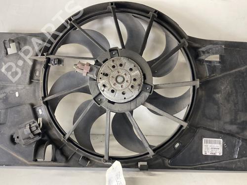 Used Radiator fan RENAULT LAGUNA III (BT0/1) 2.0 dCi (BT07, BT0J, BT14, BT1A, BT1S) (131 hp) 24816208