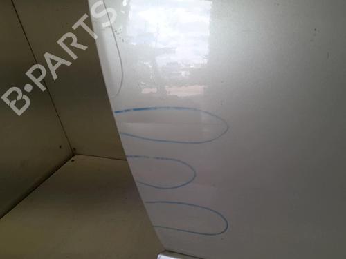 Right front door FIAT 500 (312_) 1.3 D Multijet (312AXB1A) | BP22024889C3 