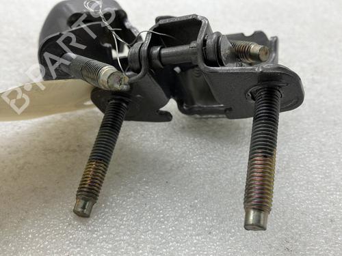 Hinge/Door check strap RENAULT SCÉNIC IV (J9_) 1.3 TCe 140 | BP21067587C146 