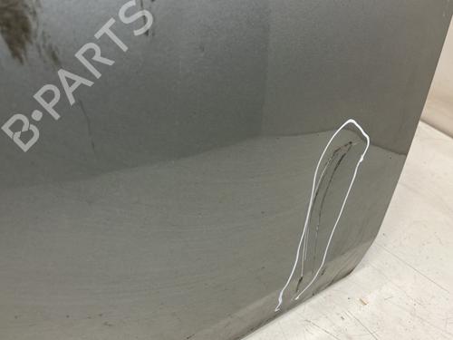 Left front door RENAULT MEGANE II Coupé-Cabriolet (EM0/1_) 1.5 dCi (EM1E) | BP22641745C2 