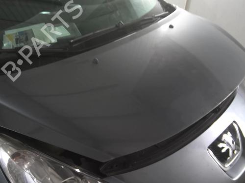 Used Hood PEUGEOT 207 CC (WD_) 1.6 HDi (109 hp) 22031380