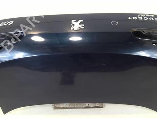 Used Tailgate PEUGEOT 607 (9D, 9U) 2.7 HDi 24V (204 hp) 22024204