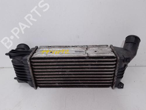 Intercooler CITROËN C5 II (RC_)  | BP30697735M30 