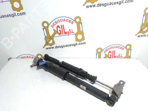 Right rear shock absorber CITROËN C4 II (NC_)  | BP20729911M19 