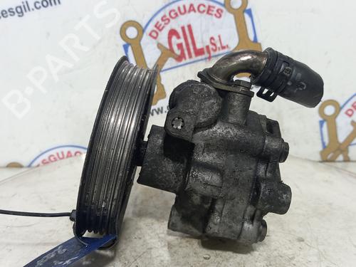 Steering pump VW POLO (6N2)  | BP20749922M99 