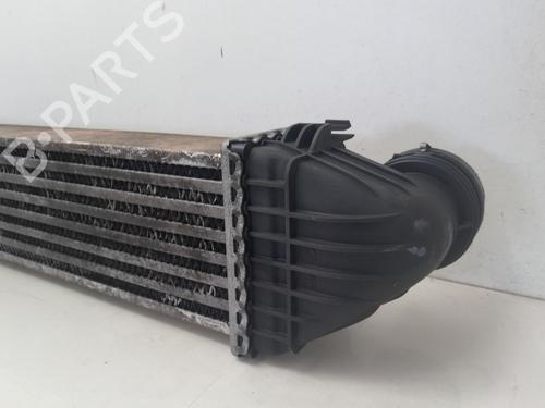 Intercooler MERCEDES-BENZ A-CLASS (W169) A 180 CDI (169.007, 169.307) | BP31066548M30 