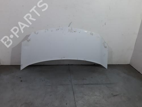 Used Hood RENAULT KANGOO / GRAND KANGOO II (KW0/1_) 1.5 dCi 70 (KW0V, KW0A) (68 hp) 22600890