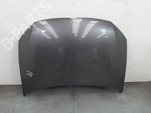 Hood VW POLO V (6R1, 6C1) 1.6 6R0823031G | 173813 |