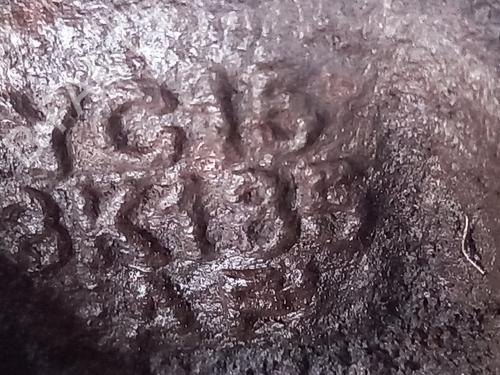 Right front steering knuckle FORD TRANSIT Van (FA_ _) 2.4 DI RWD (FAA_, FAB_, FAC_, FAD_) | BP20769688M26 