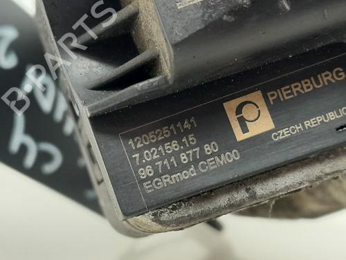 Egr CITROËN C4 II (NC_) | BP31316704M69
