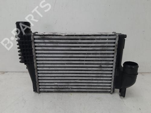 Intercooler CITROËN JUMPY III Van (V_) | BP39692884M30 - Image 4