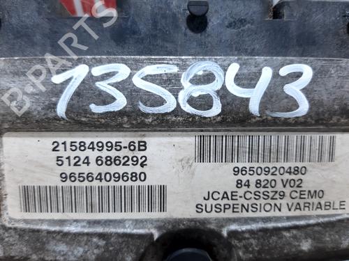 Control unit PEUGEOT 607 (9D, 9U)  | BP21015094M11 