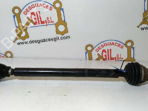Used Right front driveshaft AUDI A3 (8P1) 1.9 TDI (105 hp) 20785900